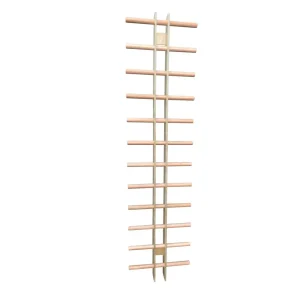 Versa Wallbar - Gymnastics & Fitness Training Ladder